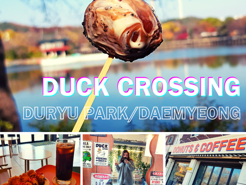 Duck Crossing Donut (덕크로싱도넛) – Duryu Park/Daemyeong-dong